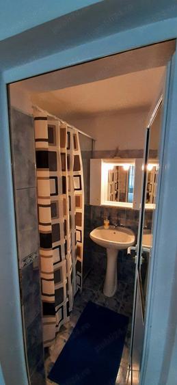 Se vinde casa de vacan?a cu vedere la munte in Valea Manastirii, Rame?i, jude?ul Alba - 3