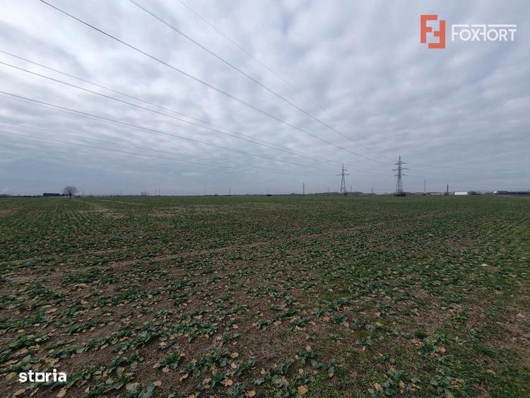 Teren extravilan pretabil constructii industriale - zona Calea Sagului - 1