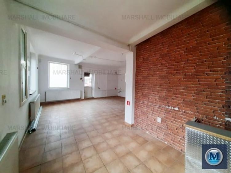 Vila cu 11 camere de vanzare, zona Gheorghe Doja, 237.7 mp #16106 - 11