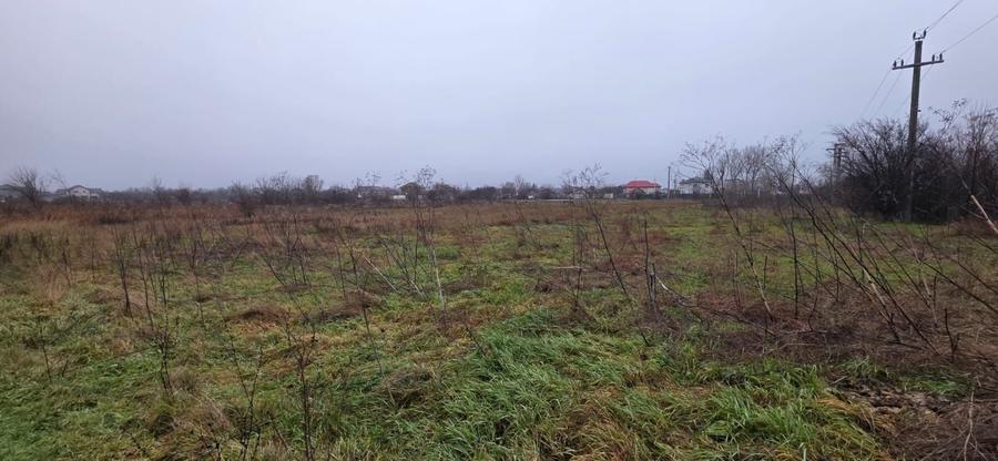 Teren 5000 mp 1 decembrie - strada Oituz - 2