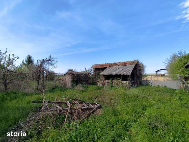 Casa la tara in Petid, Bihor, teren 4.122 mp, acces auto - Vanzare - 17
