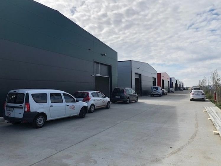 Hale de inchiriat CTPark Chitila - 4