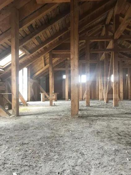 Casa P+M, teren generos 924 mp, Ideala pentru locuit + activitate profesionala - 6