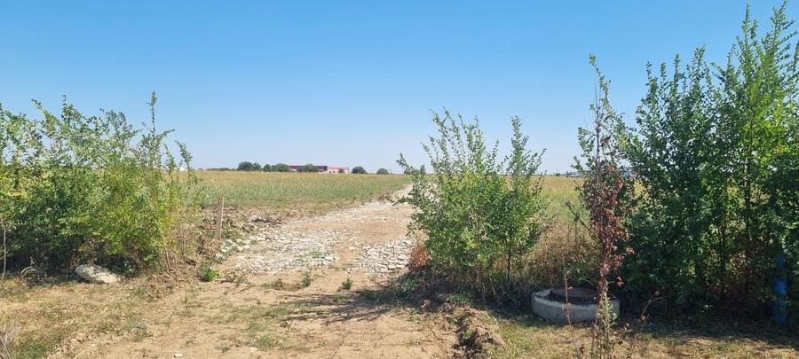 Teren intravilan Balotesti, Complex Good Afternoong - 10