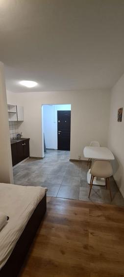 Garsoniera de inchiriat - 3