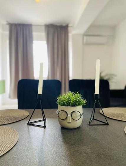 Aparatorii Patriei 2 camere langa Monaco Towers - 7