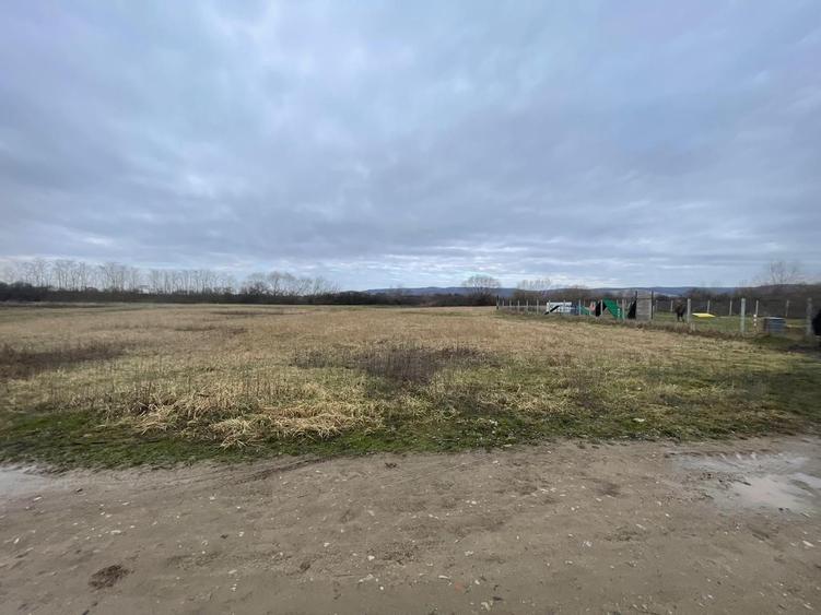 5700 mp Teren intrav. zona Mini Paradis, deschidere 44 ml- 28 eur/mp - 3