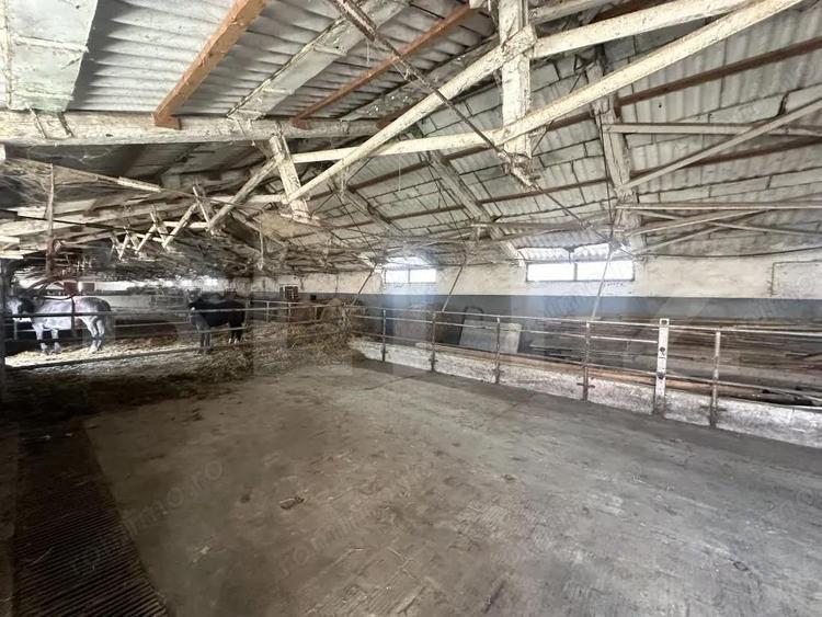 Parc industrial Barsau (HALE-BIROURI-APARTAMENT DE LOCUIT-CURTE GENEROASA-TEREN) - 6