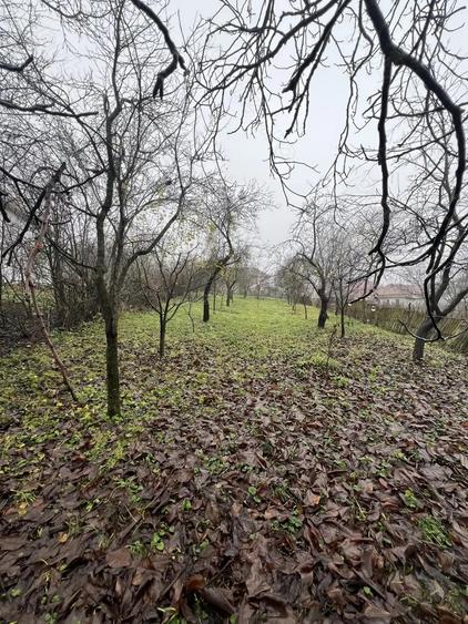 Casa de vanzare sat. Vechea com. Chinteni - 3