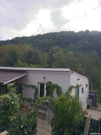 Case de vinzare confort apartament - 5