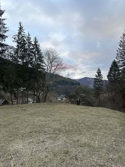 Teren 2,000mp Stejaru (Pangarati) / None - 1