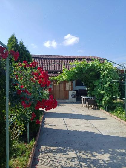Vand casa in Turnu Magurele,Teleorman.Tel. - 5