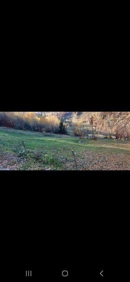 De vanzare 1000mp sat Pestera , comuna Moieciu - 6