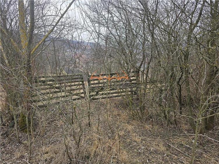 2 Terenuri de vanzare in Popesti Baciu 500m&Acirc;˛+ 2.030m&Acirc;˛/40&acirc;Ź m&Acirc;˛. - 6