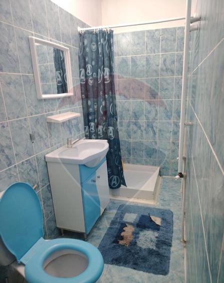 Apartament cu 1 camere de inchiriat in zona Ultracentral - 2
