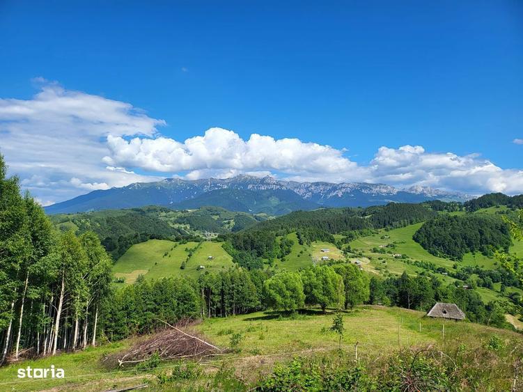 Teren 3 ha Moieciu de Jos | Drumul Carului I Panorama | Utilitati - 4
