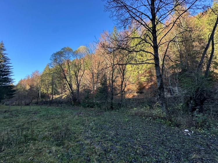 Teren 2.882 mp – oportunitate investitie - Cheile Dambovicioarei - 9