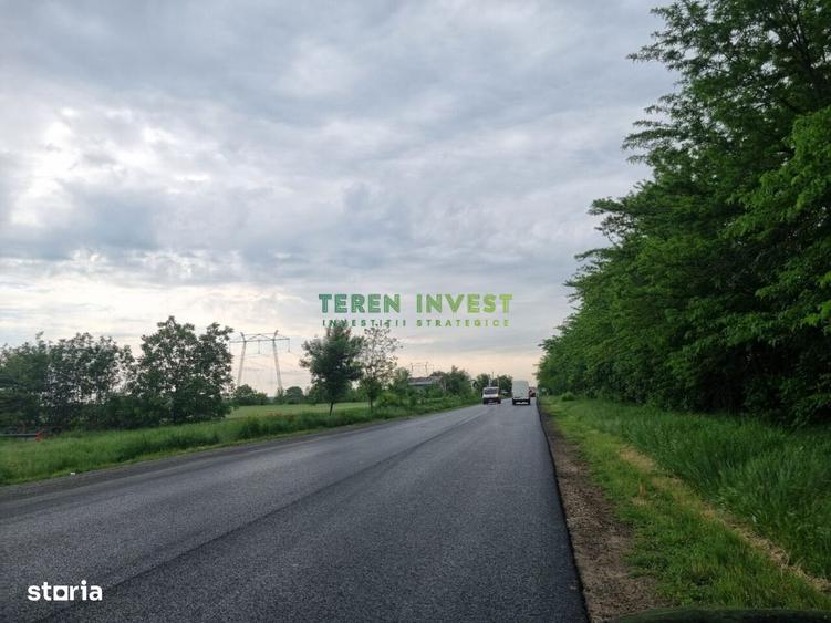 TEREN 5.4 HA PARCELABIL PUZ APROBAT - DN 4 FRUMUSANI - 2