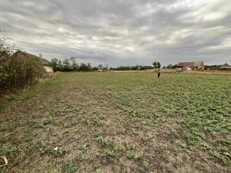 Teren de 3000 mp, în Checea