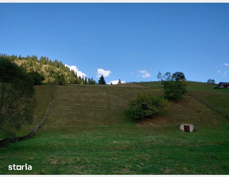 Teren de 1724 mp, în Ortoaia