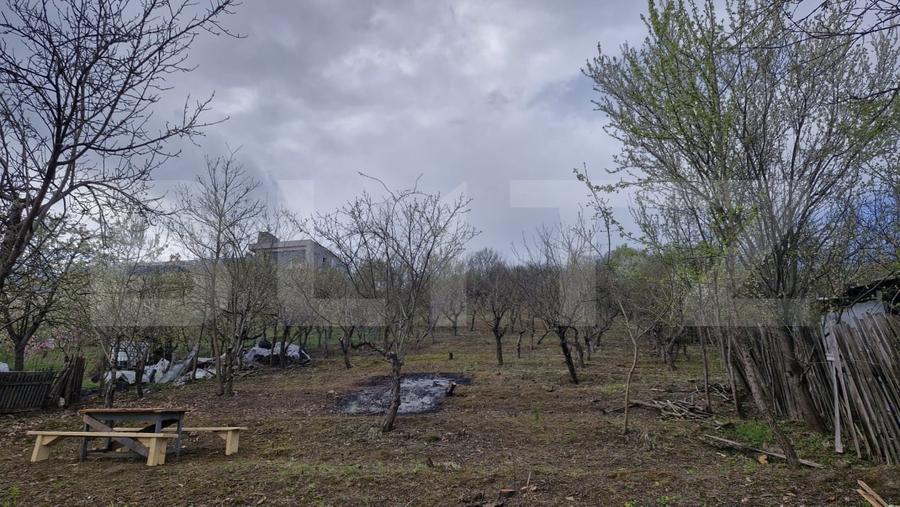 Teren Construcții intravilan de 648 mp, în Viișoara