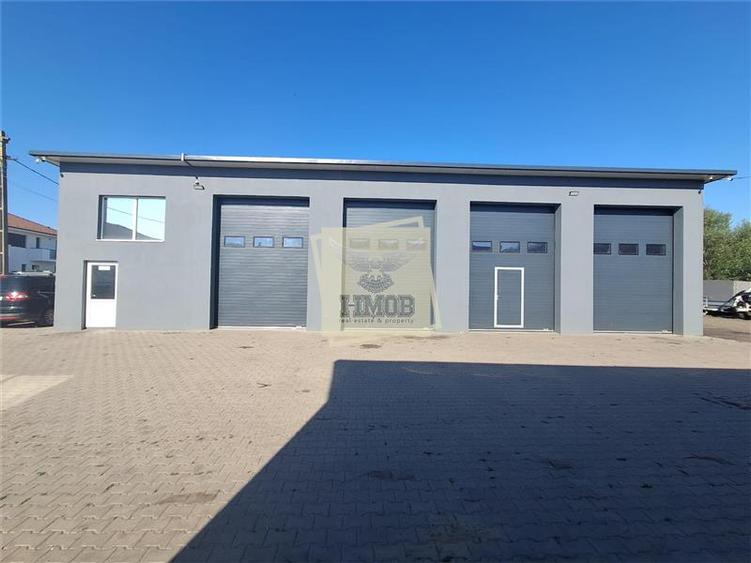 Spațiu industrial, de 300 mp, în Cristian