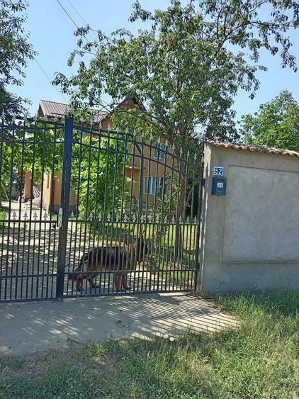 Casă cu Teren 1250 Mp în Brezoaele