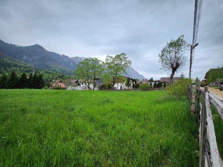 Teren Construcții intravilan de 2675 mp, în Poiana Țapului