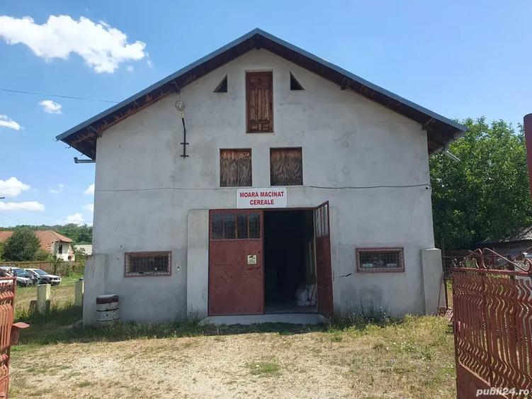 Vand proprietate - 3