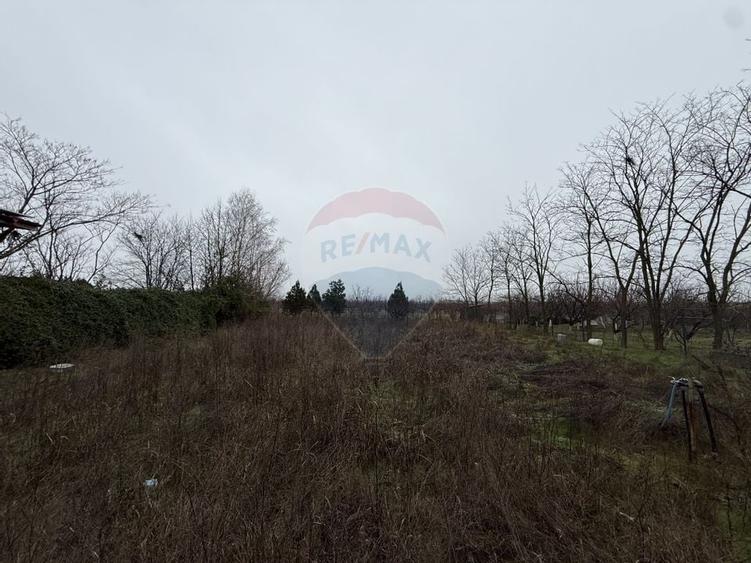 Teren de vanzare in Poiana Ovidiu Constanta - 3