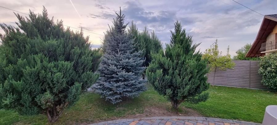 Vila individuala Drajna - Valenii de Munte - Lac! - 7