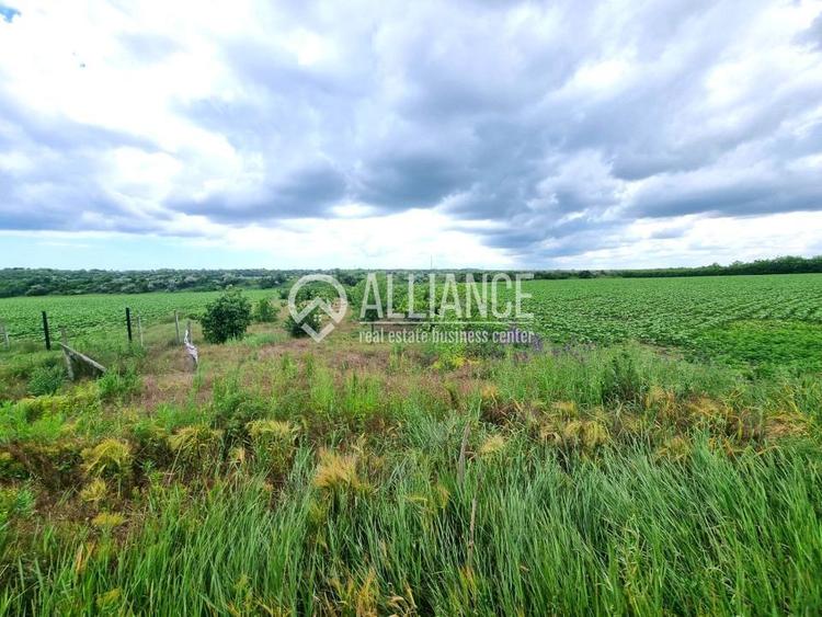 OVIDIU (COD 02)  - teren extravilan 4000 mp - 2