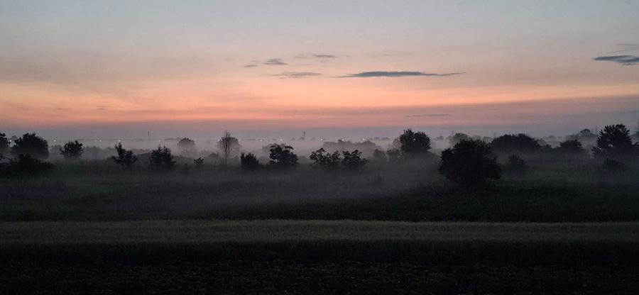 Casa perfecta 3 camere 110 mp, mobilata, teren 400 mp, rasarit si apus - 5