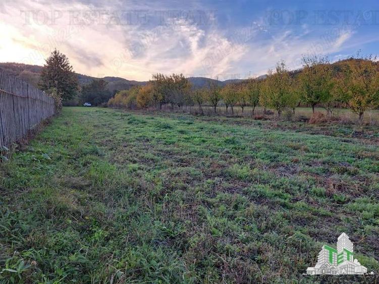 Teren de vanzare / Maneciu Pamanteni - 1