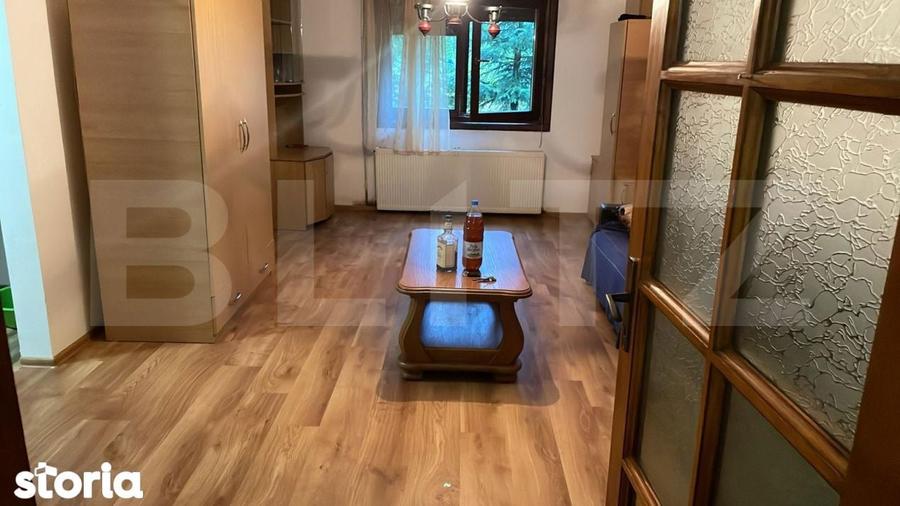 Casa de vacanta / cabana Campu Cetatii 2460 mp teren - 10