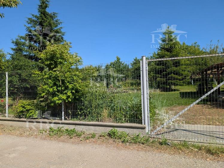 Teren pentru constructie casa in Faget - 4