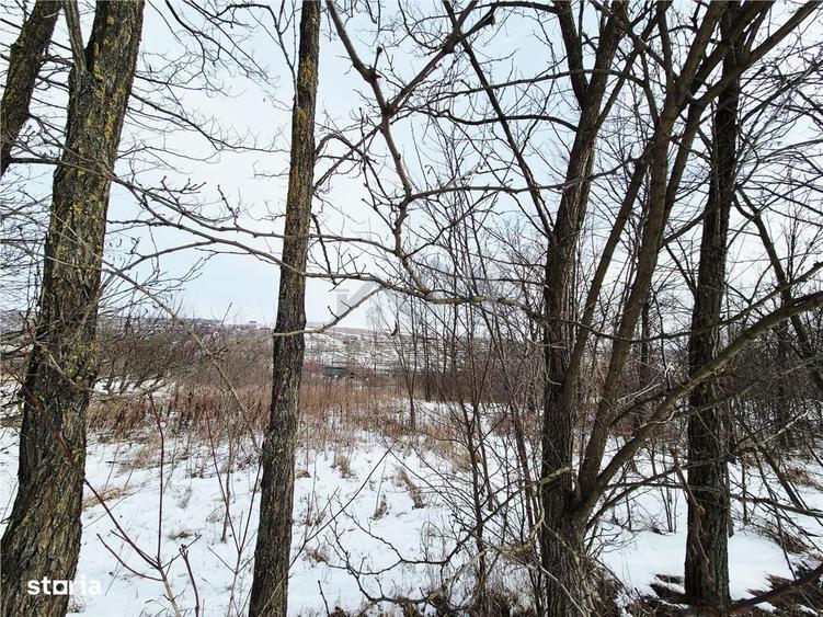 Teren intravilan de vanzare la 11 km de Palatul Culturii Iasi - 3