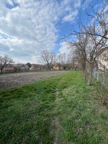 Se vinde casa la tara - 2