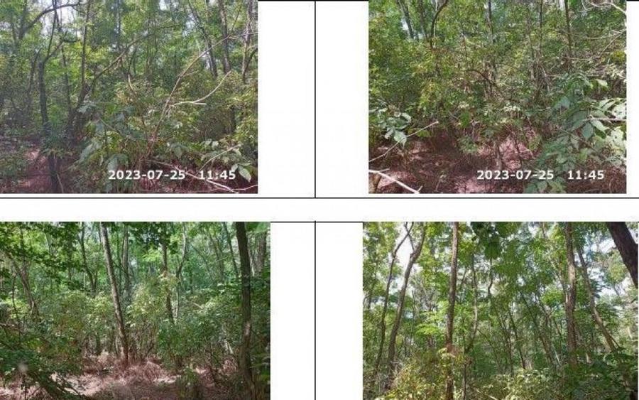 Teren extravilan padure, cota parte de 1/48 Horgesti, ID:... - 8