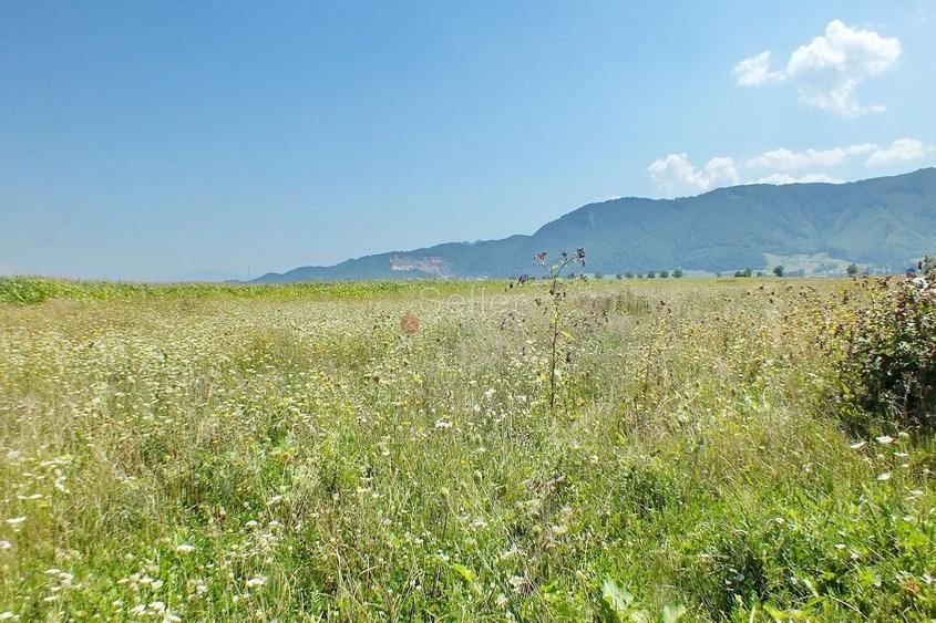 Pretabil Investitie - 3