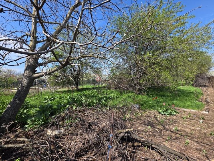 Investiție ideală în Clinceni – Teren 1.655mp - 5