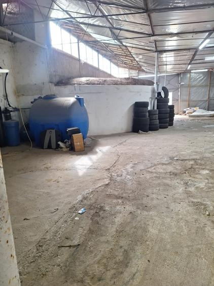 Far - Abator , hala 210 mp, platforma betonata, acces TIR - 7