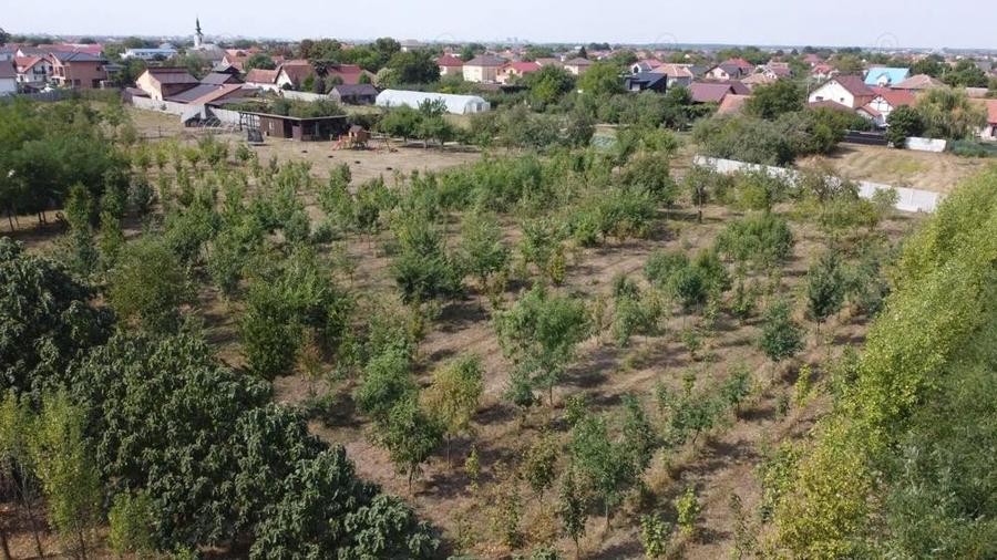 1786mp teren Vatra satului Mosnita Veche - 125.000E - 1