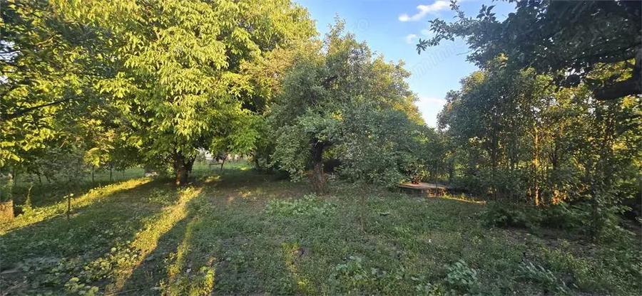 Apartament 82 mp de vanzare la casa in Chintelnic - 6