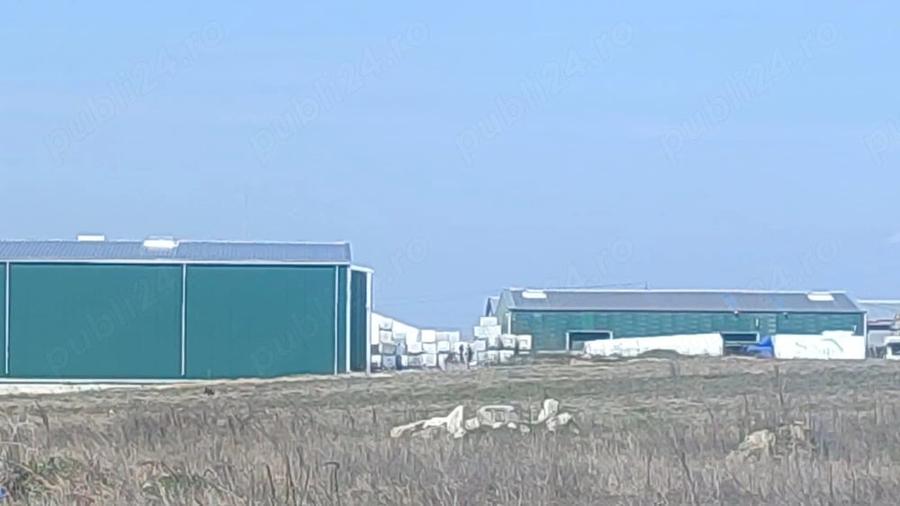Vand teren Preajba,Dolj -Solarex - 3