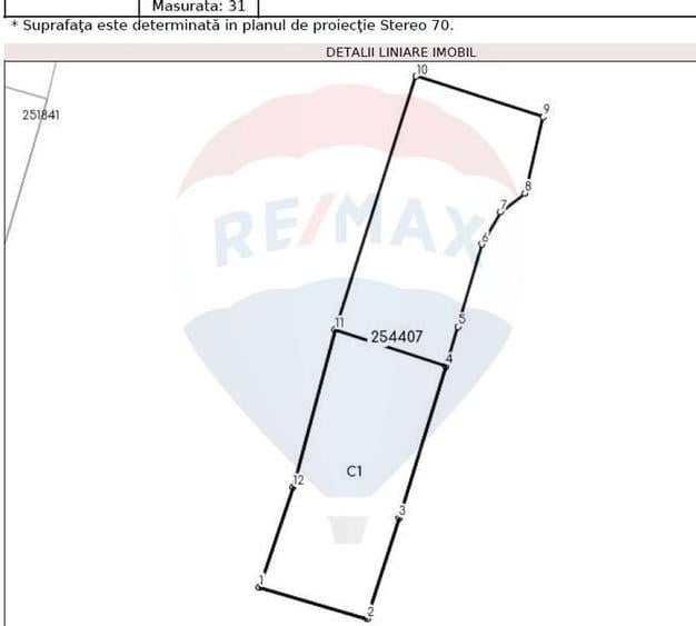 Casă 5 camere / str. Tudor Vladimirescu / 170 mp teren - 4