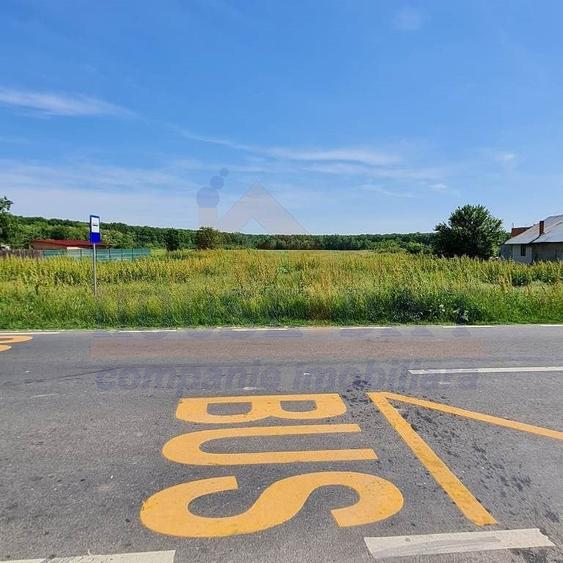 Vanzare teren intravilan Ciolpani, 1500 mp, toate utilitatile - 5