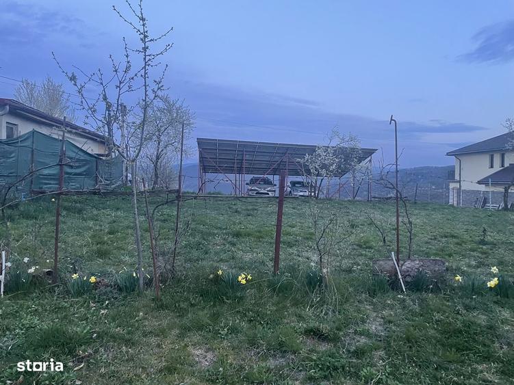 Teren Resita Extravilan Stema 24 Ianuarie Pret Negociabil - 8