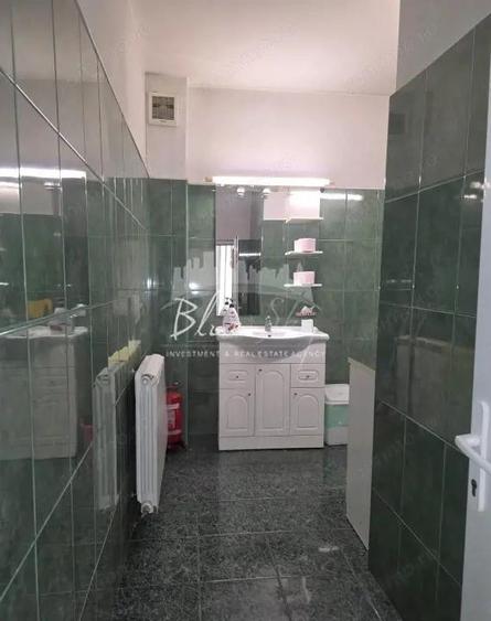 Spatiu pentru birouri, Centru-Str. Stefan Mihaileanu - 8