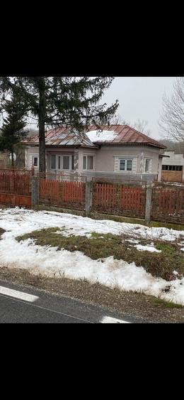 Gratia, Teleorman - 3